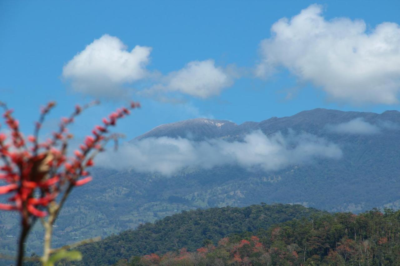Hacienda Monteclaro Ξενοδοχείο Τουριάλμπα Δωμάτιο φωτογραφία
