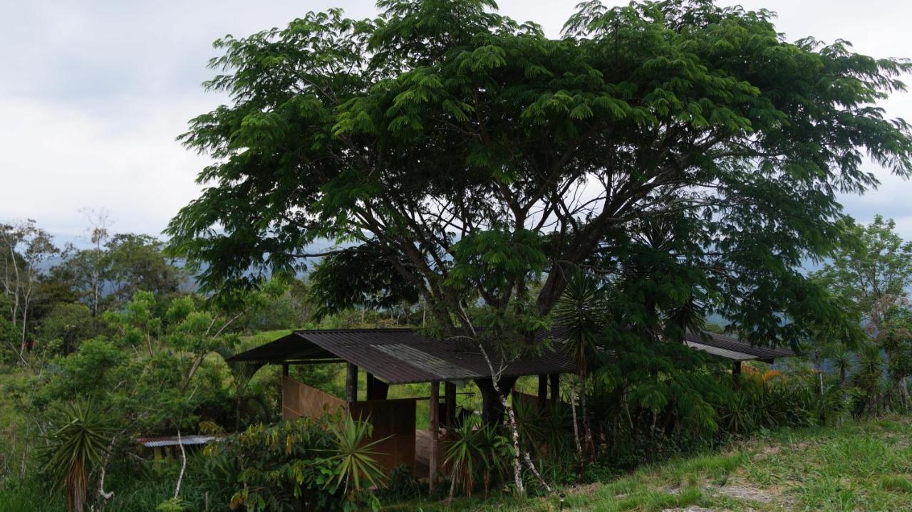 Hacienda Monteclaro Ξενοδοχείο Τουριάλμπα Εξωτερικό φωτογραφία