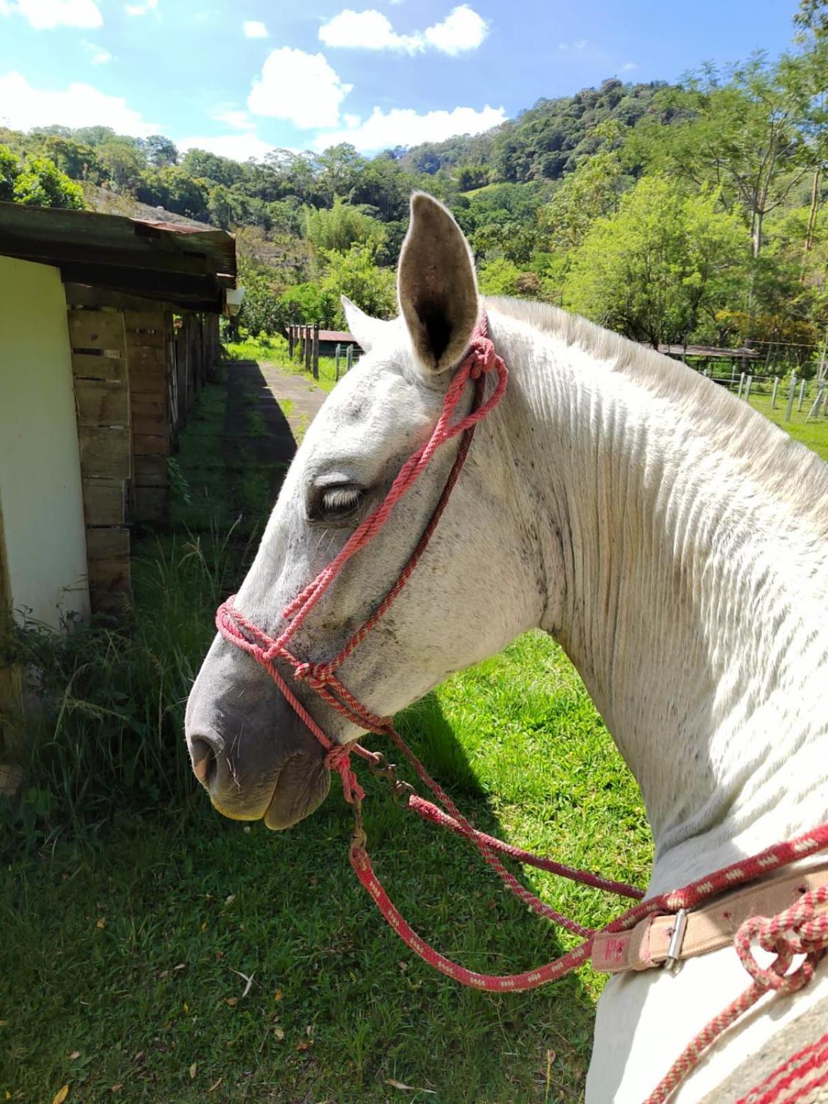 Hacienda Monteclaro Ξενοδοχείο Τουριάλμπα Εξωτερικό φωτογραφία