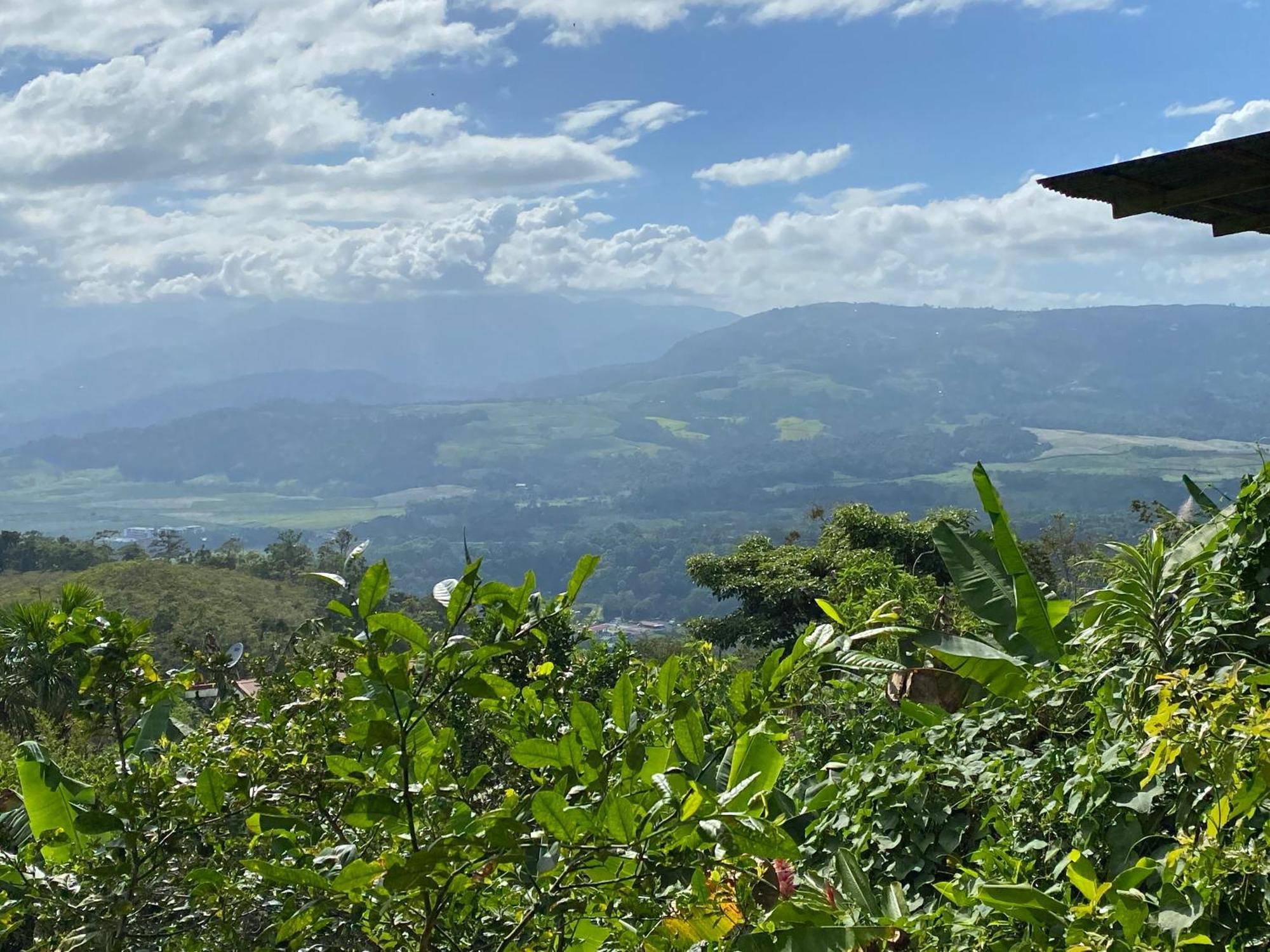 Hacienda Monteclaro Ξενοδοχείο Τουριάλμπα Εξωτερικό φωτογραφία